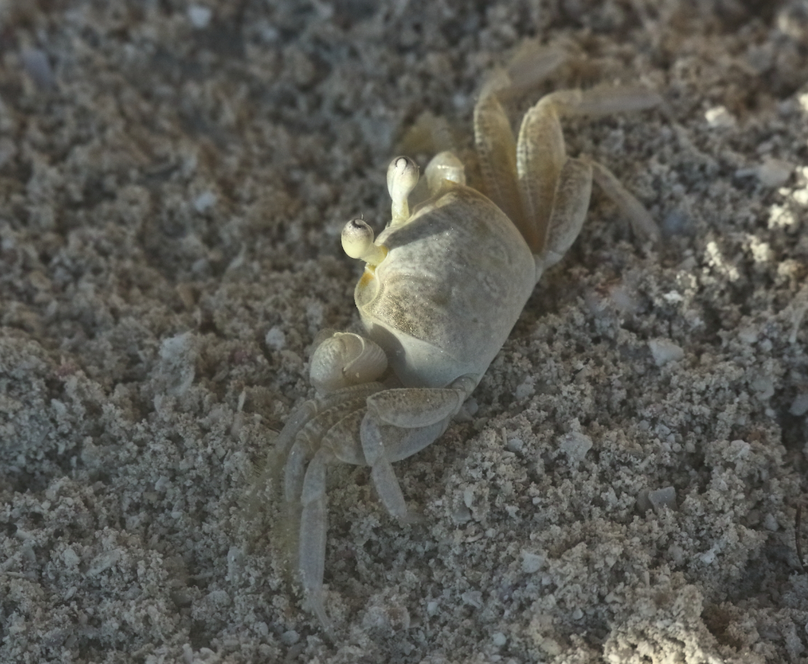 2018 09 06 HTP 02487